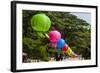 Colorful Lanterns in the Bulguksa Temple, Gyeongju, South Korea-Michael Runkel-Framed Photographic Print