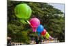 Colorful Lanterns in the Bulguksa Temple, Gyeongju, South Korea-Michael Runkel-Mounted Photographic Print