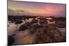 Colorful Lava Rock Sunrise at Poipu Kauai Hawaii-Vincent James-Mounted Photographic Print