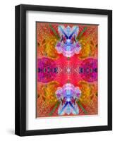 Colorful Layer Work from Blossoms-Alaya Gadeh-Framed Photographic Print