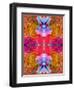 Colorful Layer Work from Blossoms-Alaya Gadeh-Framed Photographic Print