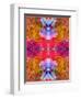 Colorful Layer Work from Blossoms-Alaya Gadeh-Framed Photographic Print