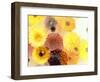 Colorful Layer Work from Yellow and Brown Blossoms-Alaya Gadeh-Framed Photographic Print