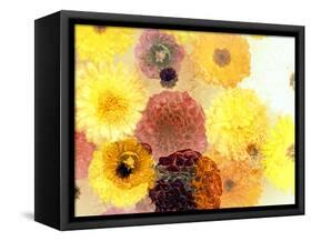 Colorful Layer Work from Yellow and Brown Blossoms-Alaya Gadeh-Framed Stretched Canvas