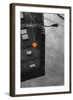 Colorful Leaf In B/W Reflection NYC-null-Framed Photo