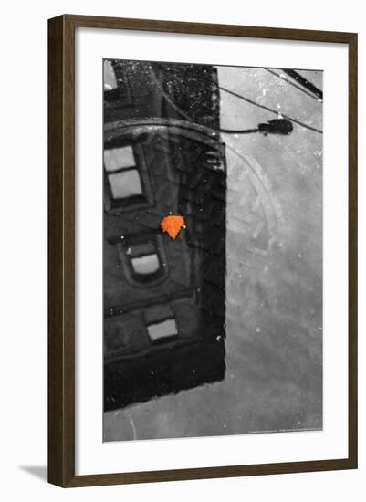 Colorful Leaf In B/W Reflection NYC-null-Framed Photo