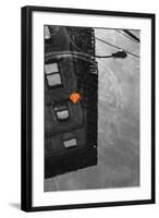 Colorful Leaf In B/W Reflection NYC-null-Framed Photo