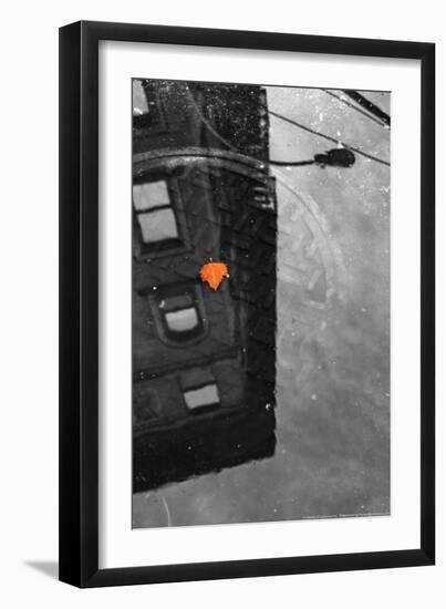 Colorful Leaf In B/W Reflection NYC-null-Framed Photo