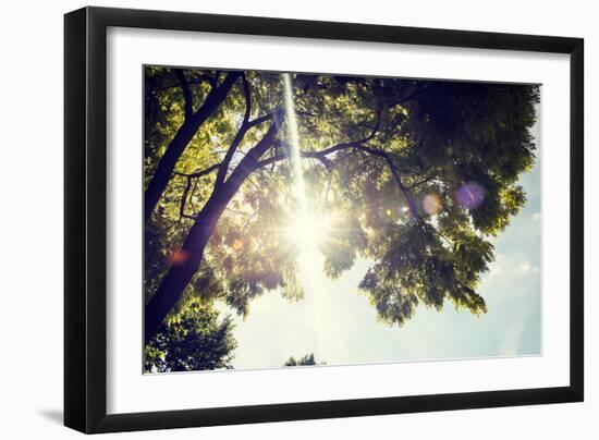 Colorful Leaves with Sunbeam, Toned Image-seewhatmitchsee-Framed Photographic Print