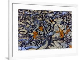 Colorful lichen encrusted rock in Glacier National Park, Montana, USA-Chuck Haney-Framed Photographic Print