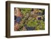 Colorful lichen patterns on rocks along McDonald Creek in Glacier National Park, USA-Chuck Haney-Framed Photographic Print