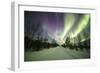 Colorful lights of the Northern Lights (Aurora Borealis) and starry sky on the snowy woods, Levi, S-Roberto Moiola-Framed Photographic Print