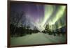 Colorful lights of the Northern Lights (Aurora Borealis) and starry sky on the snowy woods, Levi, S-Roberto Moiola-Framed Photographic Print