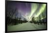 Colorful lights of the Northern Lights (Aurora Borealis) and starry sky on the snowy woods, Levi, S-Roberto Moiola-Framed Photographic Print