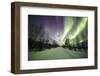 Colorful lights of the Northern Lights (Aurora Borealis) and starry sky on the snowy woods, Levi, S-Roberto Moiola-Framed Photographic Print