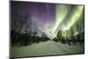 Colorful lights of the Northern Lights (Aurora Borealis) and starry sky on the snowy woods, Levi, S-Roberto Moiola-Mounted Photographic Print