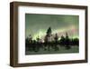 Colorful lights of the Northern Lights (Aurora Borealis) and starry sky on the snowy woods, Levi, S-Roberto Moiola-Framed Photographic Print