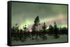 Colorful lights of the Northern Lights (Aurora Borealis) and starry sky on the snowy woods, Levi, S-Roberto Moiola-Framed Stretched Canvas
