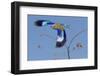 Colorful Lilac Breasted Roller taking flight, Etosha National Park-Darrell Gulin-Framed Photographic Print