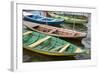 Colorful Local Wooden Fishing Boats, Alter Do Chao, Amazon, Brazil-Cindy Miller Hopkins-Framed Photographic Print