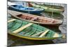 Colorful Local Wooden Fishing Boats, Alter Do Chao, Amazon, Brazil-Cindy Miller Hopkins-Mounted Photographic Print