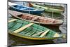 Colorful Local Wooden Fishing Boats, Alter Do Chao, Amazon, Brazil-Cindy Miller Hopkins-Mounted Photographic Print