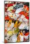 Colorful Many Koi Carp-Yongkiet-Mounted Photographic Print