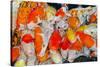 Colorful Many Koi Carps Fish-Yongkiet-Stretched Canvas