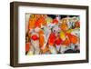 Colorful Many Koi Carps Fish-Yongkiet-Framed Photographic Print