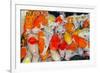 Colorful Many Koi Carps Fish-Yongkiet-Framed Photographic Print