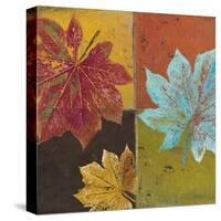 Colorful Maples II-Patricia Pinto-Stretched Canvas