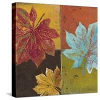 Colorful Maples II-Patricia Pinto-Stretched Canvas