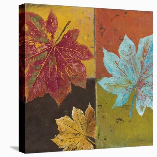 Colorful Maples II-Patricia Pinto-Stretched Canvas