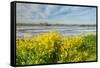 Colorful Marshy Landscape in Springtime-Ruud Morijn-Framed Stretched Canvas