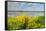 Colorful Marshy Landscape in Springtime-Ruud Morijn-Framed Stretched Canvas