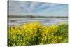 Colorful Marshy Landscape in Springtime-Ruud Morijn-Stretched Canvas