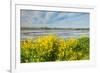 Colorful Marshy Landscape in Springtime-Ruud Morijn-Framed Photographic Print