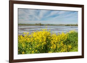 Colorful Marshy Landscape in Springtime-Ruud Morijn-Framed Photographic Print