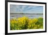 Colorful Marshy Landscape in Springtime-Ruud Morijn-Framed Photographic Print