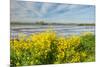 Colorful Marshy Landscape in Springtime-Ruud Morijn-Mounted Photographic Print