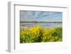 Colorful Marshy Landscape in Springtime-Ruud Morijn-Framed Photographic Print