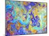 Colorful mixed paint-Panoramic Images-Mounted Photographic Print