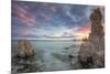 Colorful Mono Lake Sunrise, Sierra Nevada-Vincent James-Mounted Photographic Print