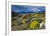 Colorful Moss , the Beagle Channel, Ushuaia, Tierra Del Fuego, Argentina, South America-Michael Runkel-Framed Photographic Print