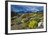 Colorful Moss , the Beagle Channel, Ushuaia, Tierra Del Fuego, Argentina, South America-Michael Runkel-Framed Photographic Print