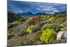 Colorful Moss , the Beagle Channel, Ushuaia, Tierra Del Fuego, Argentina, South America-Michael Runkel-Mounted Photographic Print