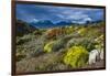 Colorful Moss , the Beagle Channel, Ushuaia, Tierra Del Fuego, Argentina, South America-Michael Runkel-Framed Photographic Print