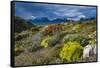 Colorful Moss , the Beagle Channel, Ushuaia, Tierra Del Fuego, Argentina, South America-Michael Runkel-Framed Stretched Canvas