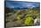 Colorful Moss , the Beagle Channel, Ushuaia, Tierra Del Fuego, Argentina, South America-Michael Runkel-Framed Stretched Canvas