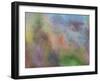 Colorful mural.-Merrill Images-Framed Photographic Print